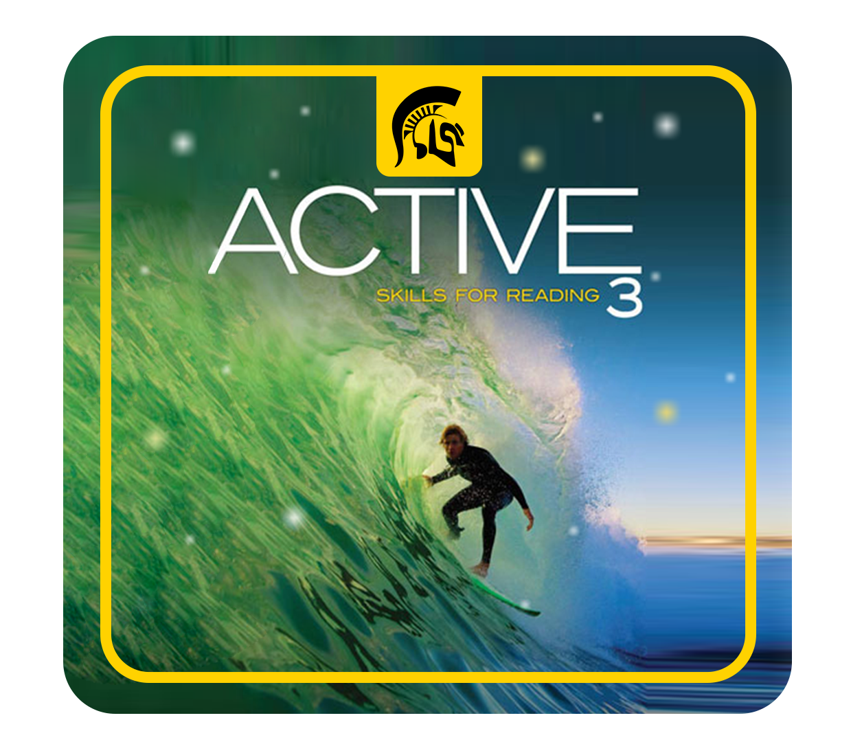 Active Skills for Reading level 3